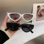 Cat Eye Slim Frame High-End Street Photography Sunglasses for Women - Image 3
