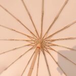 INS Forest Style 16-Rib Large UV Protection Sun & Rain Umbrella – Foldable Women’s Parasol - Image 5