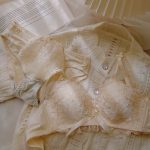 Japanese sweet cream embroidered lace underwear push-up no wire bra set - Image 4