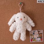 Wasteland-Style Lop-Eared Bunny Keychain – Soft & Trendy Plush Accessory - Image 8