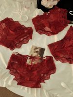 Red Lace Hollow Sexy Women’s Brief Panties - Image 3