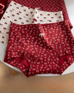 Women Probiotic Antibacterial Cotton Flat Leg Underwear Red - Image 18