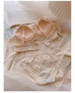 Japanese sweet cream embroidered lace underwear push-up no wire bra set - Image 9