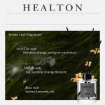 NOVO6192 Free-Flowing Aromatherapy – Wood Fragrance - Image 4