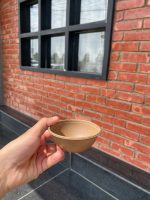 Eco-Friendly Rice Husk Bowl | Sustainable, Microwave & Dishwasher Safe Serving Bowl - Image 11