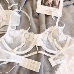 French Embroidered Mesh Lace-Up Ultra-Thin Push-Up Bra Set – Large Bust Minimizing, Soft Underwire - Image 13