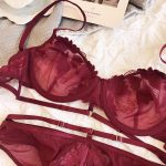 French Embroidered Mesh Lace-Up Ultra-Thin Push-Up Bra Set – Large Bust Minimizing, Soft Underwire - Image 2