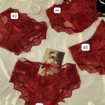 Red Lace Hollow Sexy Women’s Brief Panties