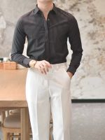 Men’s Wrinkle-Resistant Striped Shirt – Korean Style Hidden Button Smart Casual Dress Shirt - Image 4