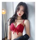 Sweet cream Japanese embroidered lace push-up no wire bra - Image 13